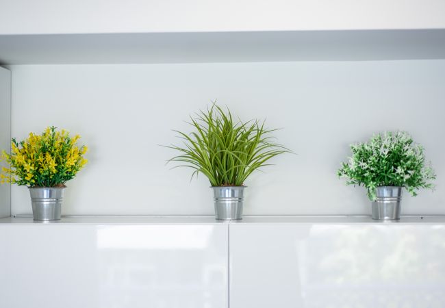 Apartment in Seven Mile Beach - #22 Villa Zen at The Grove Apartment in Seven Mile Beach - #22 Villa Zen at The Grove