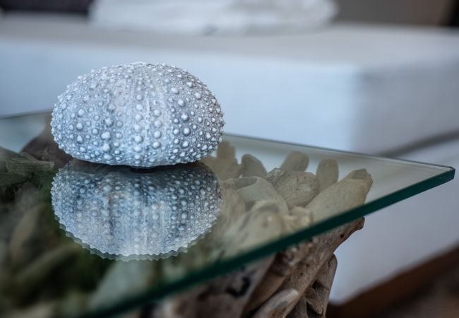 Apartment in Seven Mile Beach - #22 Villa Zen at The Grove Apartment in Seven Mile Beach - #22 Villa Zen at The Grove