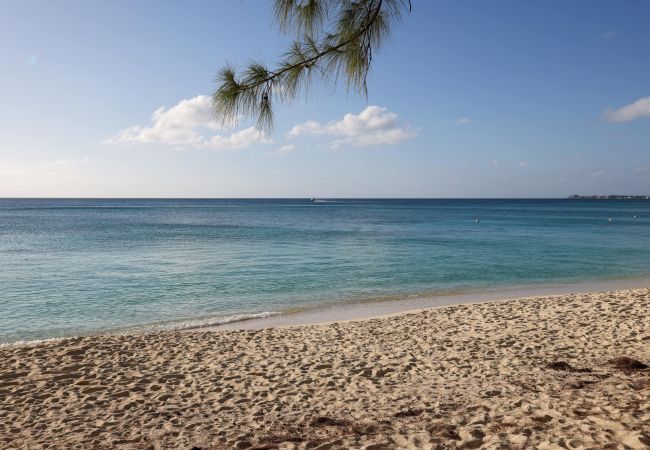 Apartment in Seven Mile Beach - #22 Villa Zen at The Grove Apartment in Seven Mile Beach - #22 Villa Zen at The Grove