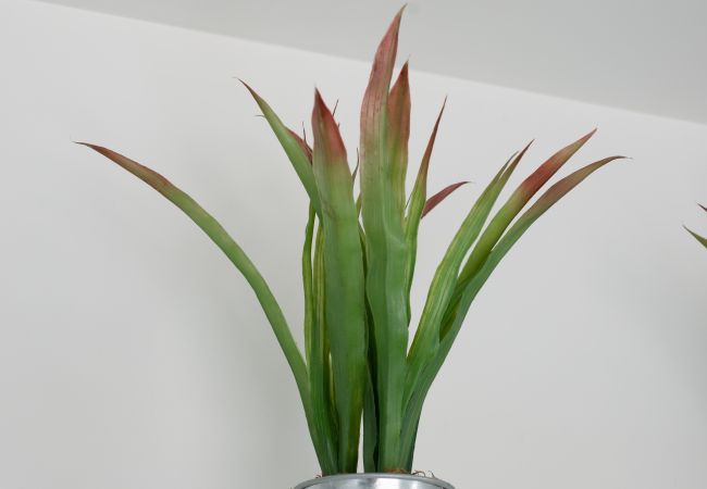 Apartment in Seven Mile Beach - #20 Villa Deluxe at The Grove Apartment in Seven Mile Beach - #20 Villa Deluxe at The Grove