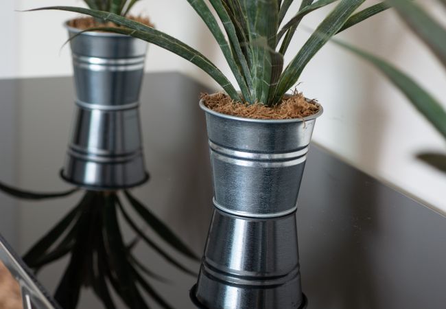 Studio in Seven Mile Beach - #9 Studio Paradisum at The Grove Studio in Seven Mile Beach - #9 Studio Paradisum at The Grove