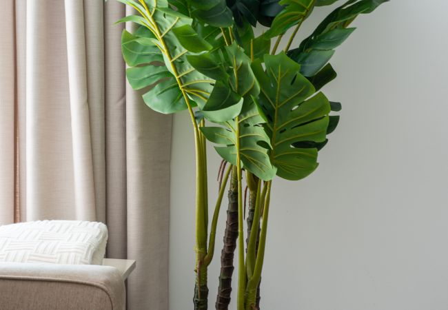 Studio in Seven Mile Beach - #9 Studio Paradisum at The Grove Studio in Seven Mile Beach - #9 Studio Paradisum at The Grove